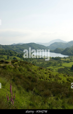 Llyn Gwynant, Nantgwynant, Parc National de Snowdonia, Pays de Galles Banque D'Images