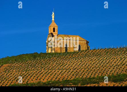 Chapelle de la Madone à fleurie dans la lumière du matin dans la région du Beaujolais, France Banque D'Images