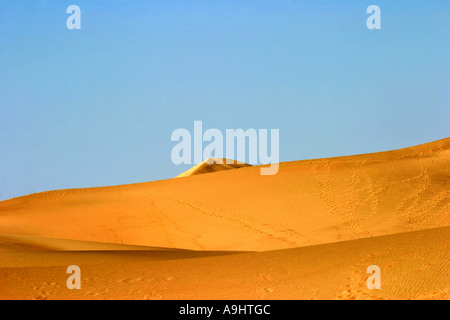 Les dunes de sable, les Dunes Mesquite télévision près de Stovepipe Wells, États-Unis, Californie Banque D'Images