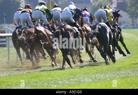 Chevaux de course de l'arrière dans le virage, l'Allemagne, Bade-Wurtemberg Banque D'Images