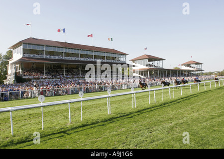 Hippodrome et course de chevaux, Allemagne, Bade-Wurtemberg Banque D'Images