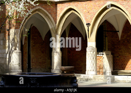 Collegium Maius courtyard arcades, Université jagellonne, Cracovie, Cracovie, Pologne Banque D'Images