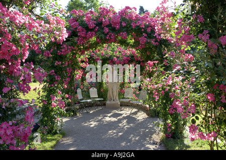 Rose (Rosa spec.), Rose jardin d'essai, le Beutig rose coudes, Allemagne, Baden-Baden Banque D'Images
