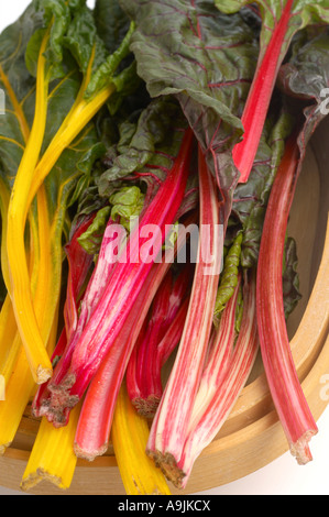 Close up of Red and Yellow Chard dans trug Banque D'Images