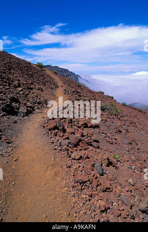 Parcours dans le champ de lave au-dessus d'une mer de nuages dans le Cratère de Haleakala National Park Haleakala île de Maui Hawaii Banque D'Images