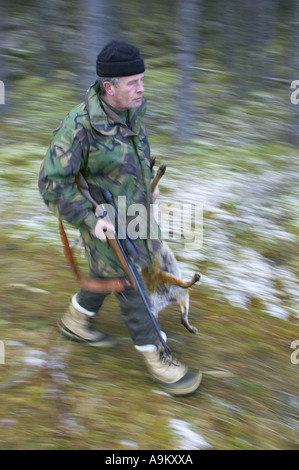 Le renard roux (Vulpes vulpes), garde-chasse a mort fox, Royaume-Uni, Ecosse Banque D'Images