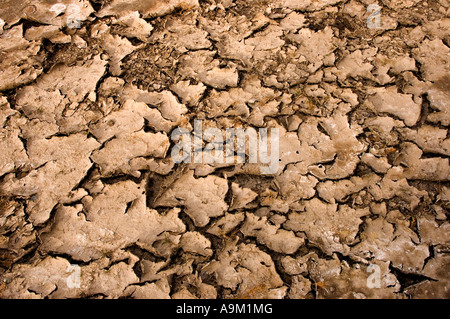 12.2005 de la terre sèche et la saleté Banque D'Images