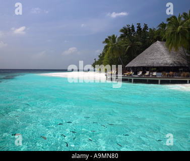 Banc de poissons nager dans un lagon aux Maldives dans l'Océan Indien Banque D'Images