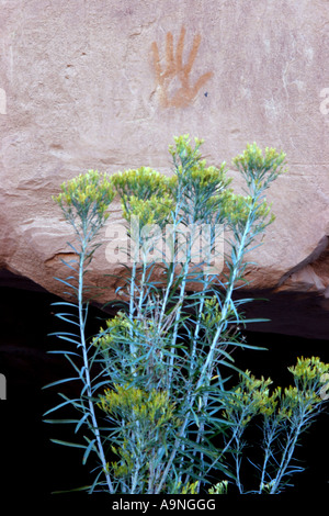 Pictogrammes de Horseshoe Canyon, Canyonlands National Park, Utah Banque D'Images