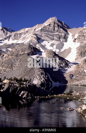 Un homme plonger dans Treasure Lake dans la Sierra montagnes de Californie Banque D'Images