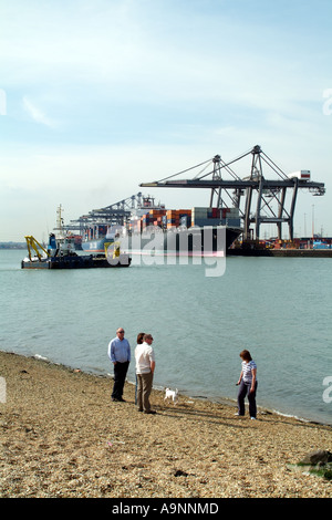 Les porte-conteneurs à quai sur quai Port de Southampton dans le sud de l'Angleterre Royaume-Uni UK Banque D'Images