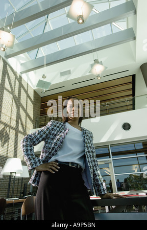 African American businesswoman Banque D'Images