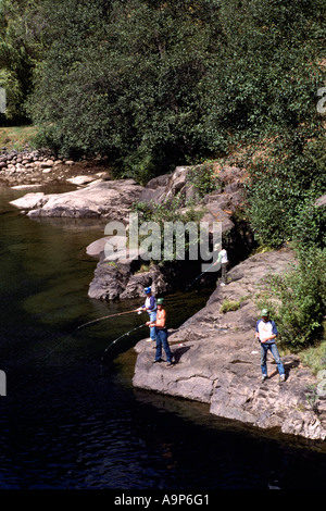 Pêche sportive en rivière Stamp près de Port Alberni, Colombie-Britannique, île de Vancouver, Colombie-Britannique, Canada - Sports Fishing Banque D'Images