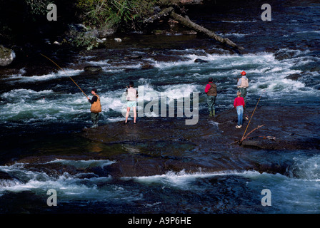 La pêche du saumon dans la rivière Stamp Stamp Falls Provincial Park dans près de Port Alberni, sur l'île de Vancouver, British Columbia Canada Banque D'Images