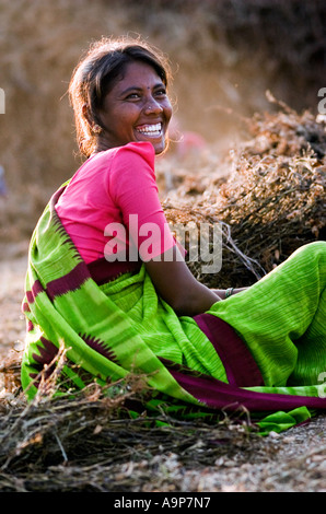 Rire femme indienne la récolte des cultures d'arachide dans les champs, selective focus. Banque D'Images