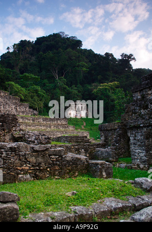 Ruine archéologique Maya de Palenque, Chiapas, Mexique, Banque D'Images