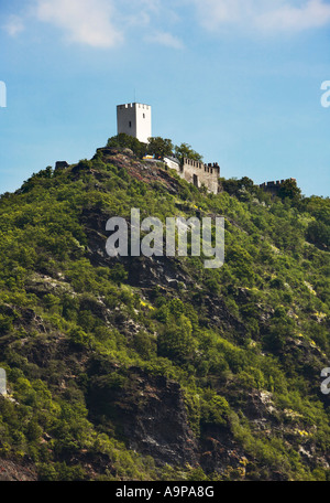 Château Sterrenberg sur le Rhin, la Rhénanie, l'Allemagne, de l'Europe Banque D'Images