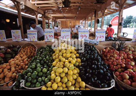 Un marché de producteurs avec des fruits à vendre à Duncan sur l'île de Vancouver, British Columbia Canada Banque D'Images