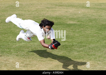 Plongée Fielder pour prendre une capture Banque D'Images
