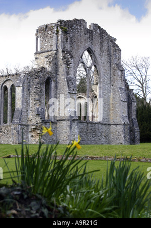 Abbaye de Netley, Southampton, Hampshire, Angleterre Banque D'Images