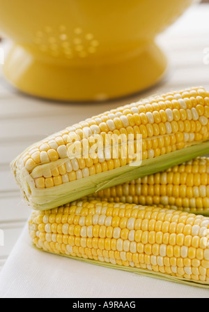 Close up of corn on the cob Banque D'Images