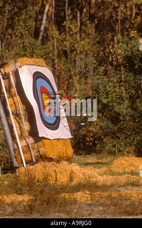 Flèches tirées en cible sur hay bale in park. Banque D'Images