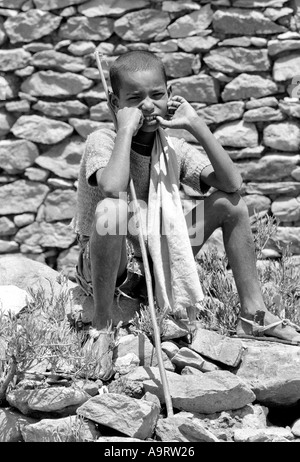 B/W d'un berger tigrayan assis et réfléchi qui observe son troupeau sur un terrain commun près d'Axum, Tigray, Éthiopie, Afrique Banque D'Images