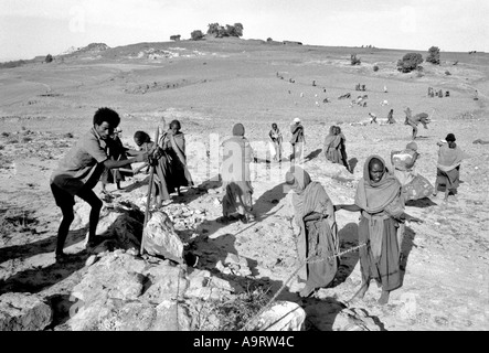 B/W des villageois qui terraient la terre pour empêcher l'érosion du sol pendant la saison des pluies, dans le cadre d'un programme de travail alimentaire près de Mekelle.Tigray, Éthiopie, Banque D'Images