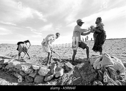 B/W des villageois mâles et femelles qui terraient des terres pierreuses pour empêcher l'érosion des sols dans un programme de nourriture pour le travail.Tigray, Éthiopie Banque D'Images