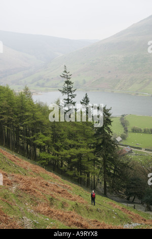 En ordre décroissant en Amarch Cadair Idris mcg sur Snowdonia, dans le Nord du Pays de Galles Banque D'Images