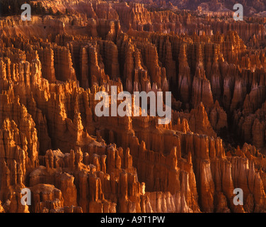 Ville SILENCIEUSE MONOLITHES HOODOOS Bryce Canyon National Park Utah USA Banque D'Images