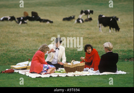 Pique-nique en plein air pendant l'intervalle sur la pelouse ha ha, bétail en arrière-plan. Festival de Glyndebourne Opéra Lewes Sussex. ANNÉES 1994 1980 ROYAUME-UNI HOMER SYKES Banque D'Images