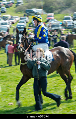 Parader les chevaux dans le paddock avant une course point-à-point lors d'une réunion dans la campagne du sud du Devon. ROYAUME-UNI Banque D'Images