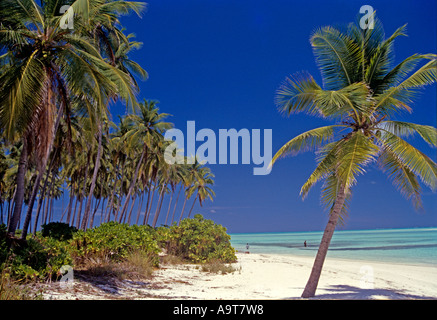 Plage vierge BANGARAM ISLAND Banque D'Images