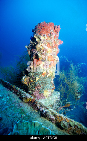 La superstructure du Nanshin Maru épave couverte de coraux et éponges mixtes de l'île Noire l'Île Coron Palawan Philippines Banque D'Images