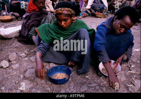 "L'ETHIOPIE, LA FAMINE inévitable', enfants ramassent grain D'UN CENTRE DE DISTRIBUTION ALIMENTAIRE À GERADO ETHIOPIAS dans les Highlands, 1999 Banque D'Images