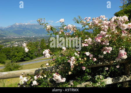 Vue sur la vallée du Rhin en direction de la Suisse et le Säntis, Vaduz FL Banque D'Images