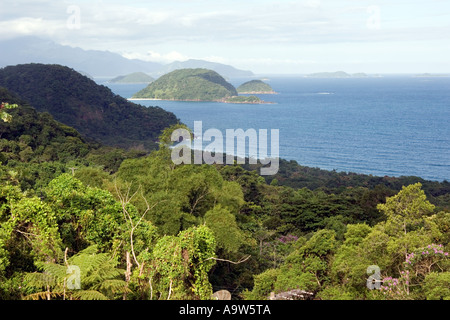 Praia Plage Felix Forêt Tropicale Atlantique Ubatuba Sao Paulo Brésil Banque D'Images