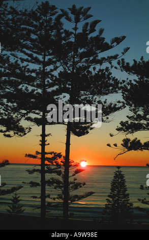 Lever de soleil sur Manly hêtre, Côte-Nord, Sydney Banque D'Images