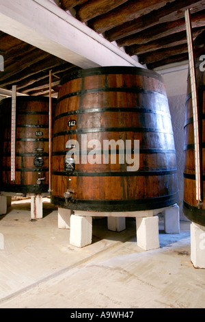 De grandes cuves contenant du vin dans les caves de Offley Porto Portugal Banque D'Images