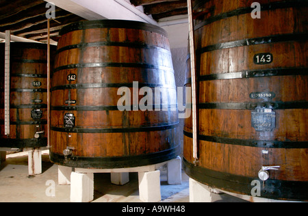 De grandes cuves contenant du vin dans les caves de Offley Porto Portugal Banque D'Images