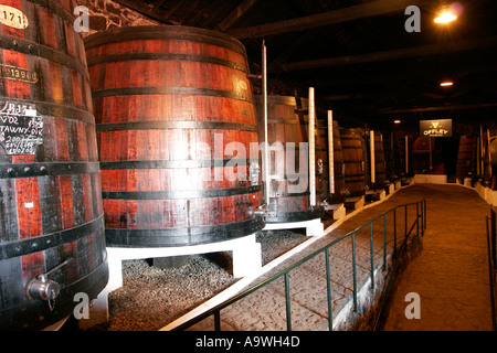 De grandes cuves contenant du vin dans les caves de Offley Porto Portugal Banque D'Images