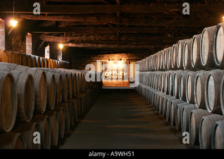 Barils de vin de porto Offley venant à échéance dans les caves de Porto Portugal Banque D'Images