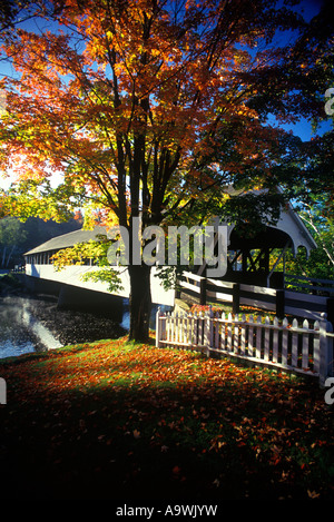 Automne FEUILLAGE PONT COUVERT BLANC STARK LA RIVIÈRE AMMONOOSUC WHITE MOUNTAIN NATIONAL FOREST NEW HAMPSHIRE USA Banque D'Images