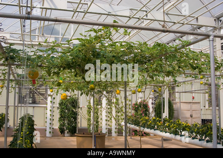 Les cultures expérimentales de la NASA, Epcot Center, Orlando, Floride Banque D'Images