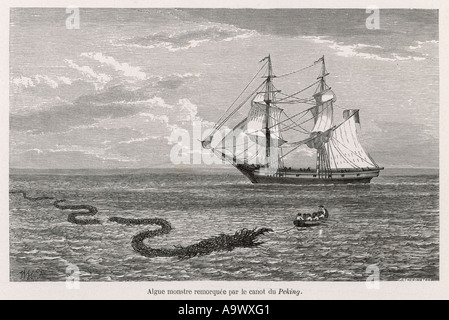 Folklore Serpent de mer Banque D'Images