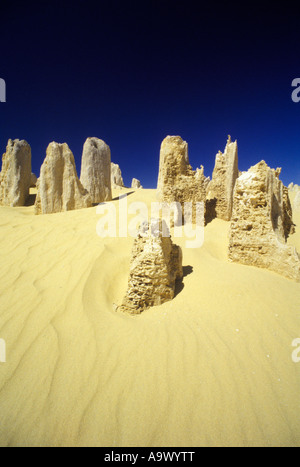 Le PARC NATIONAL DE NAMBUNG PINNACLES DESERT AUSTRALIE L'AUSTRALIE OCCIDENTALE Banque D'Images