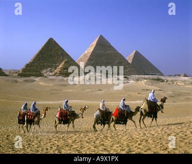 Caravane de chameaux grandes pyramides GIZEH RUINES Le Caire ÉGYPTE Banque D'Images