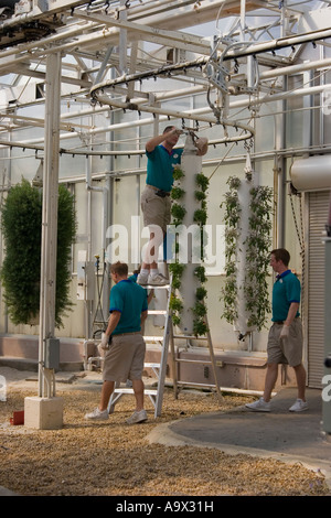 Les cultures expérimentales de la NASA, Epcot Center, Orlando, Floride Banque D'Images