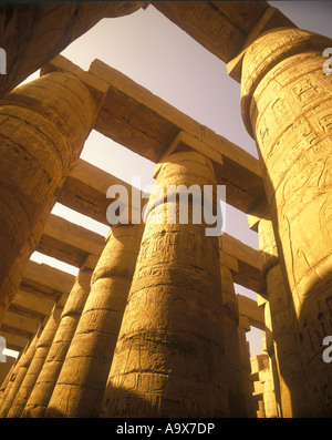 Les colonnes en pierre salle hypostyle du Grand Temple d'AMON KARNAK LUXOR EGYPTE RUINES Banque D'Images